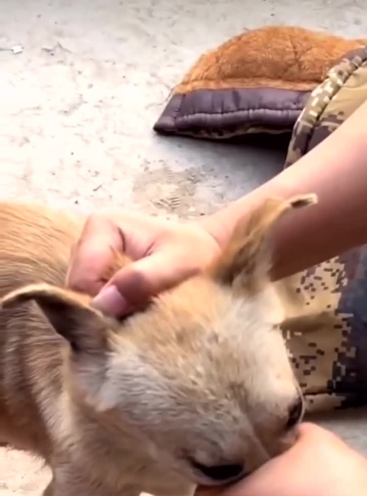 ������ ������ ������� �� ������..... - 2