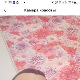 , 37, 