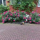 ���� ����, �����������, 64 ���� - ��������� 20 ���� 2025 � ������ ������ ��������