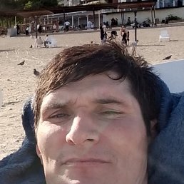  , 37, 