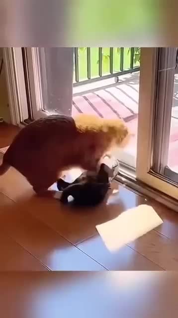       !! - 2