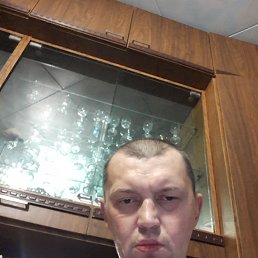 , 37, 