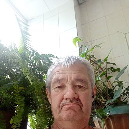  , 56, 