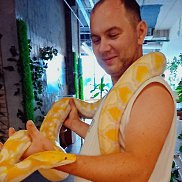 �������, 36 ���, �������