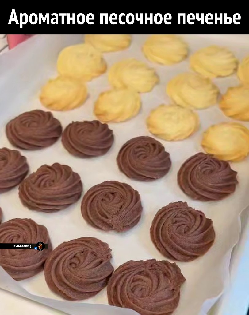   . : 160    75    40    ...