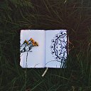 ���� �����, ���������, 27 ��� - ��������� 2 ������� 2024 � ������ ���� ����������