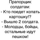 ���� Olga, �������-����� - ��������� 13 ���� 2026