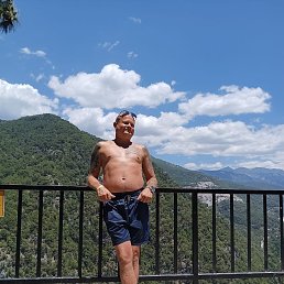 , 43 , 