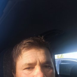 ���� Dddd, �����, 33 ���� - ��������� 30 ������ 2026