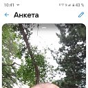 ���� ���� �������, ������������, 44 ���� - ��������� 16 ������ 2025