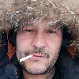 ������, ������, 46 ���