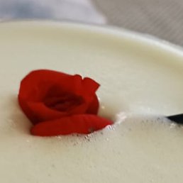 �����-������, �����������, 39 ���