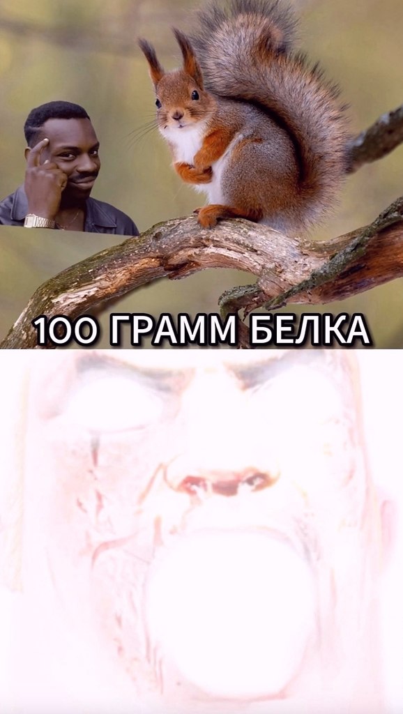 .e a - 6