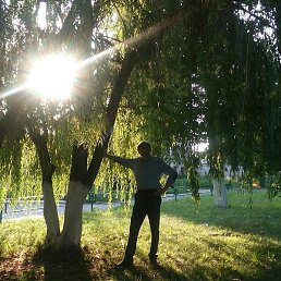 ����, ������, 68 ���