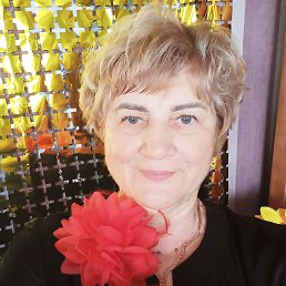, 66, 
