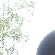 , 41 , 