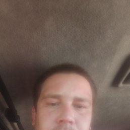 , 32, 