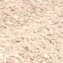 �������, ����-���������, 41 ���