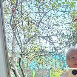 ������, ����, 62 ����