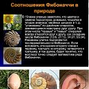 ���� Tatyana, �������, 64 ���� - ��������� 16 ����� 2025 � ������ ������ ��������