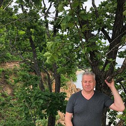 �����, 64 ����, ���������