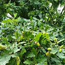 ���� Nadezhda, �����, 47 ��� - ��������� 12 ��� 2026 � ������ ���� ����������