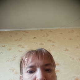  , 41, 