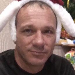 , , 44 