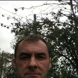 , 54, 