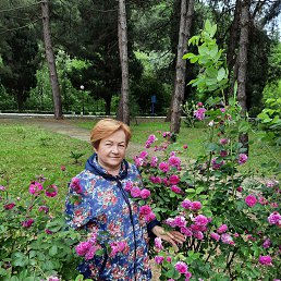 , 54, 