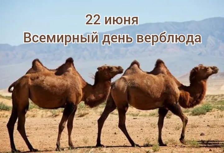 : , , , , , , , ,  - 5