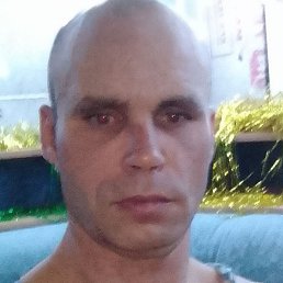 ���������, �����������, 41 ���