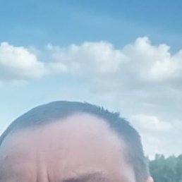 �������, ������� �����, 40 ���