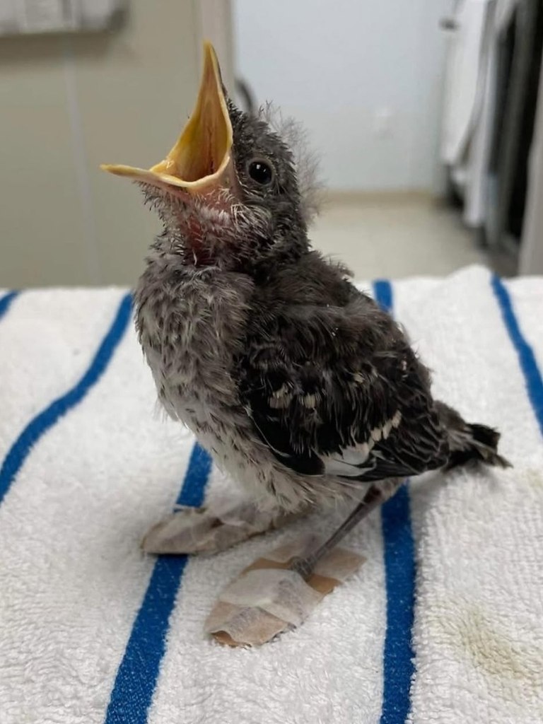 ��������� ������������ ��� ������� �������! ���������� �� ����� ������� �����! ���� ���� ����������� ... - 2