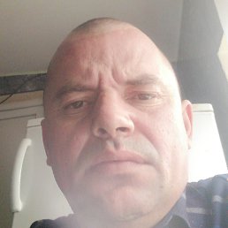 �������, ���������, 41 ���