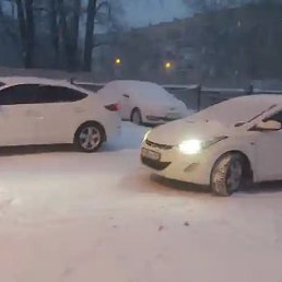 ���� �����, ������, 43 ���� - ��������� 19 ������ 2024