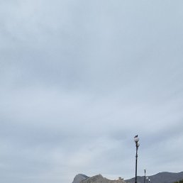 ���� ����, �����������, 40 ��� - ��������� 3 ������ 2026