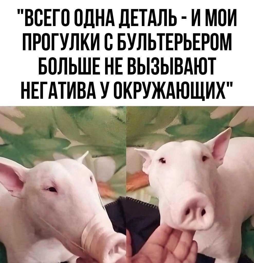  - 24  2025  15:12