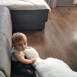 �����, ������, 51 ���