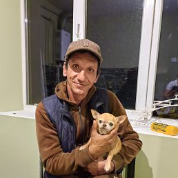 ����, 49 ���, �������