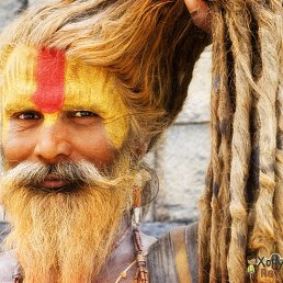 ���� �����, ������, 37 ��� - ��������� 1 ������ 2024