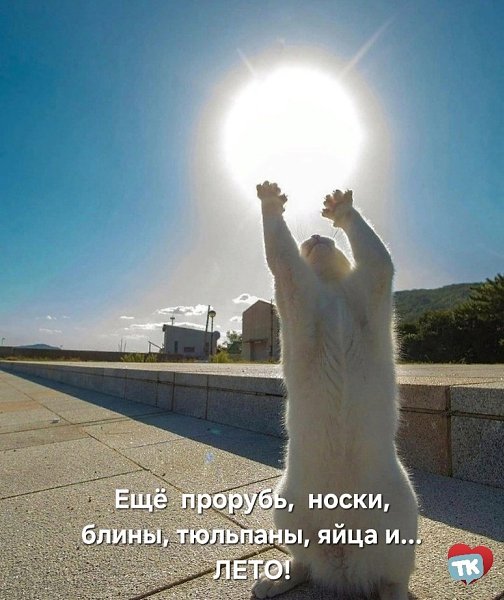   - 16  2025  20:14