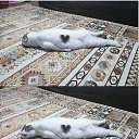 ���� Jana �������!!!, ������, 38 ��� - ��������� 17 ������� 2026 � ������ ������ ��������