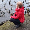 ���� �������, �����-���������, 61 ��� - ��������� 21 ������ 2024 � ������ ���� ����������