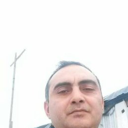 , 41, 