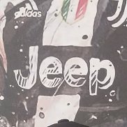 �������� ��������, 43 ����, ������