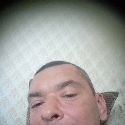 �����, ����, 43 ����