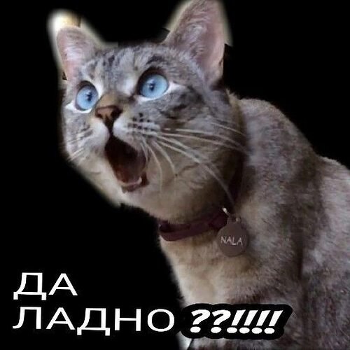 Вопросы супер ! Давно мучают мой мозг!Хотелось бы получить ответы на такие вопросы: Почему ...