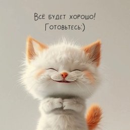 ���� Viktor, �������, 18 ��� - ��������� 22 ���� 2026