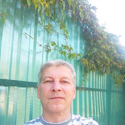 , 52 , 